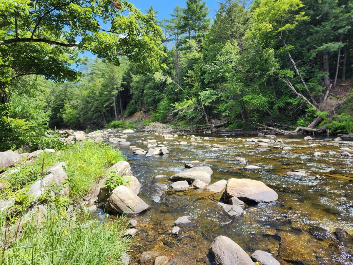 The Black River along the property, envisioned as the ceremony setting
