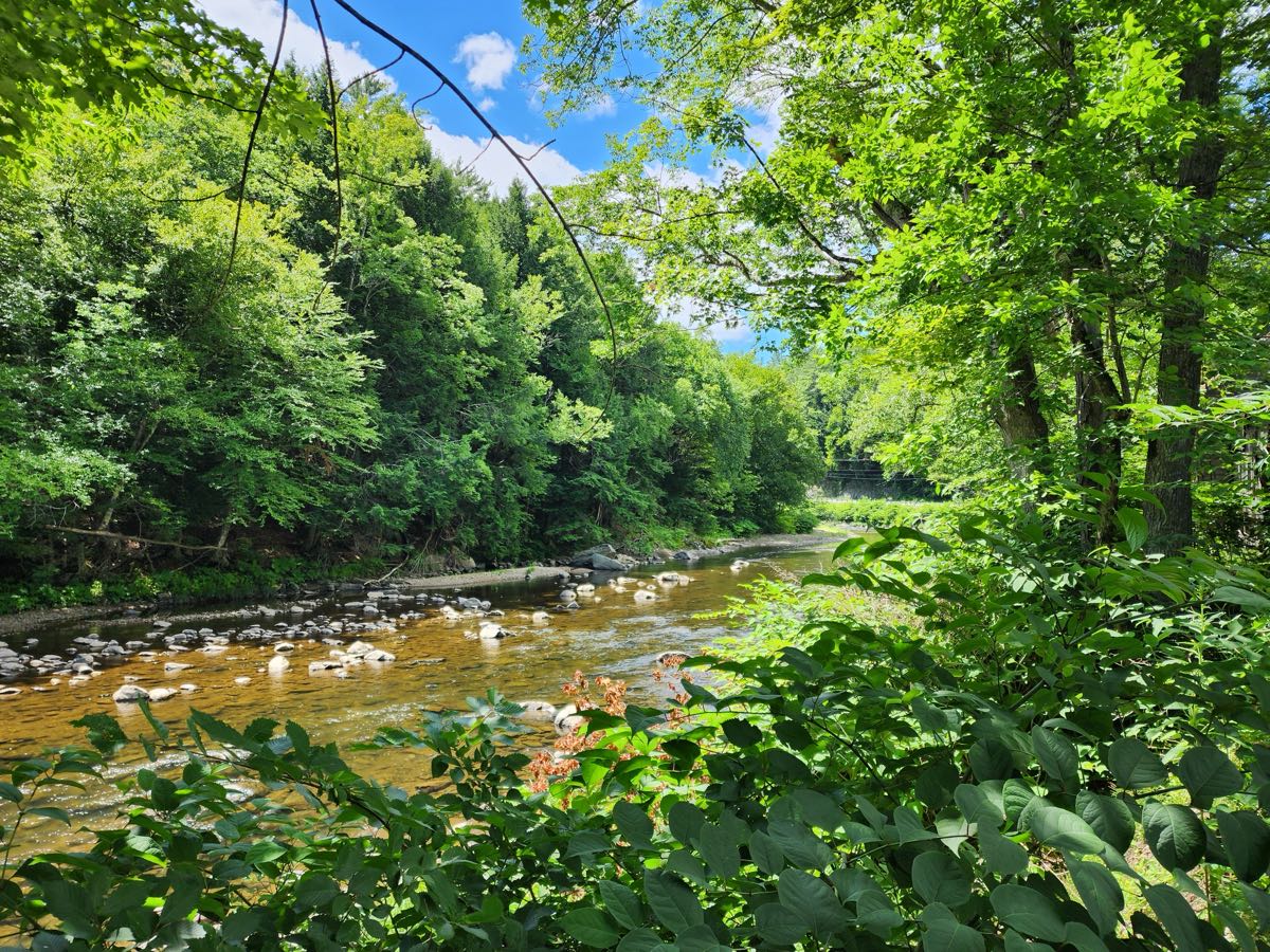 The Black River running through the property