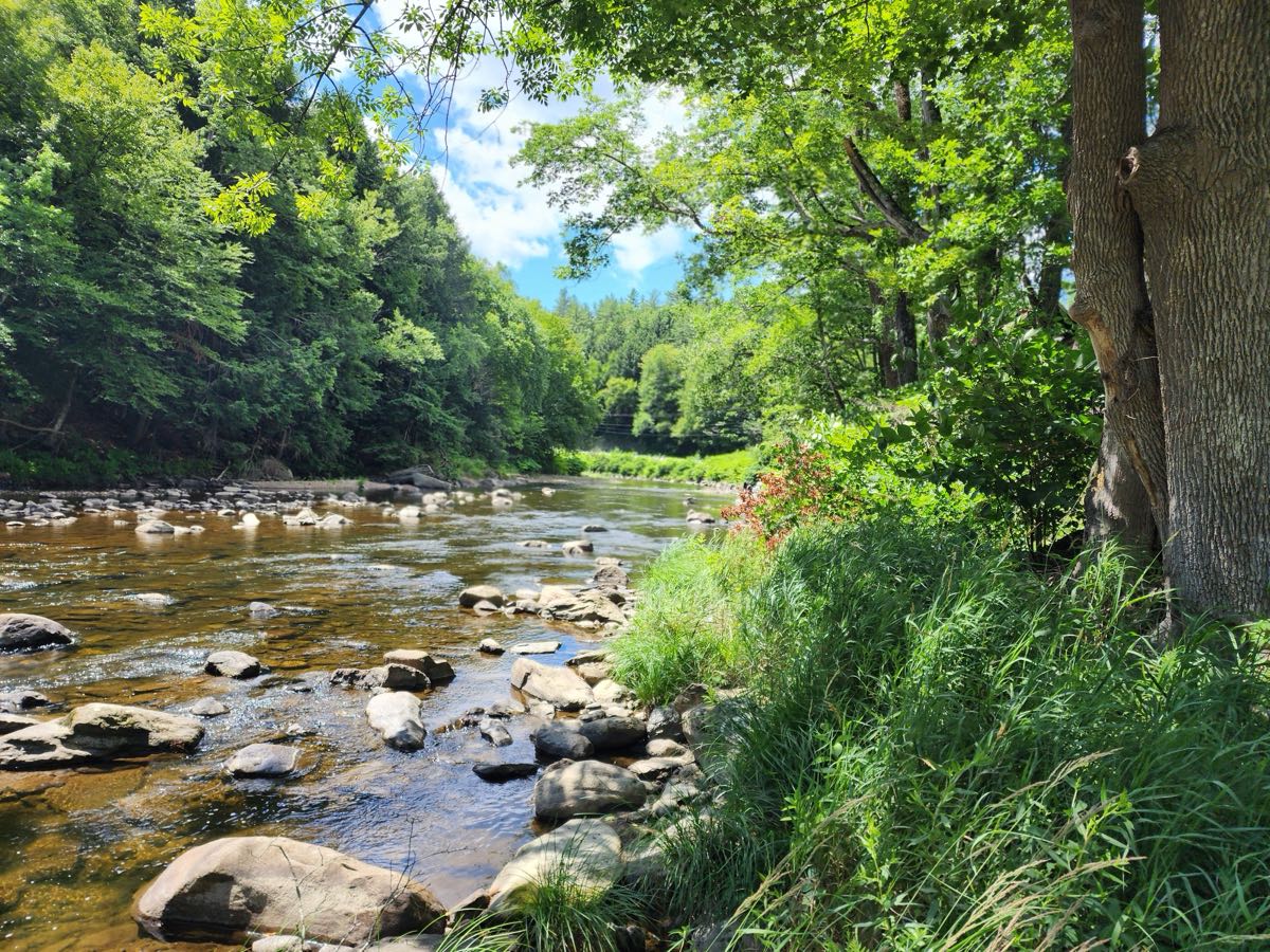 The Black River running along the property